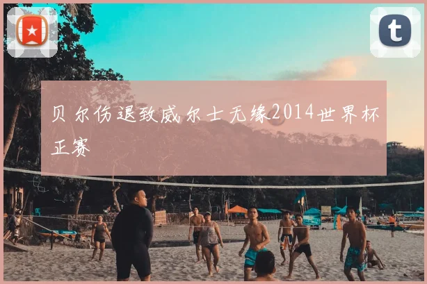 贝尔伤退致威尔士无缘2014世界杯正赛