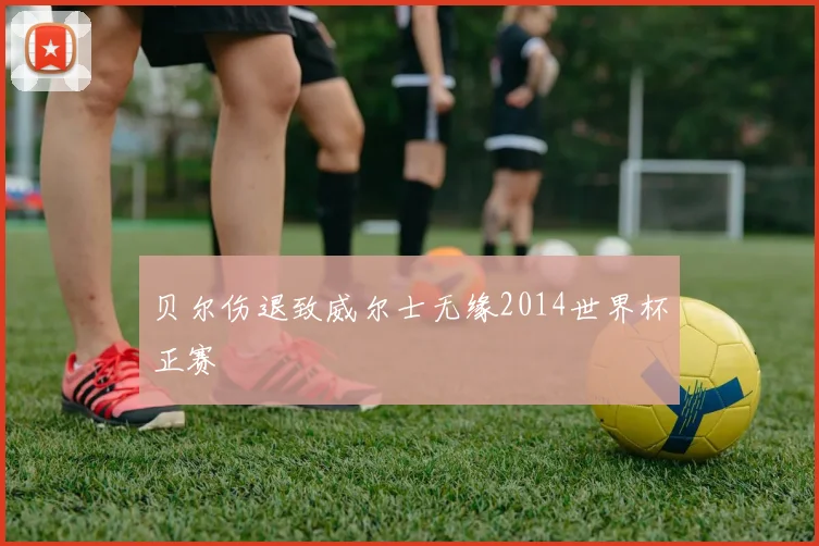 贝尔伤退致威尔士无缘2014世界杯正赛