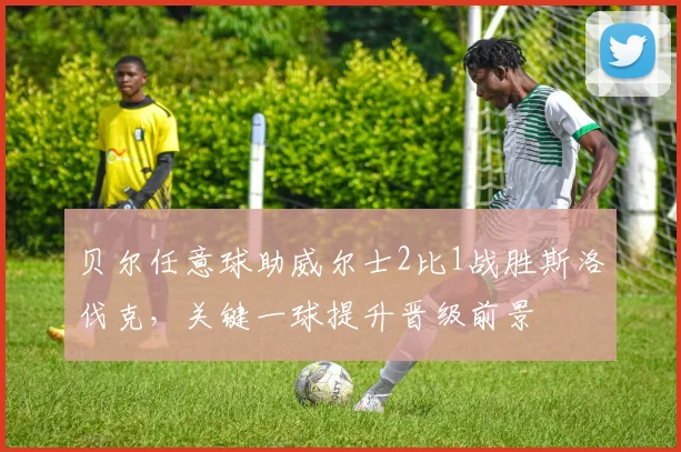 贝尔任意球助威尔士2比1战胜斯洛伐克，关键一球提升晋级前景