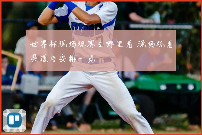 世界杯现场观赛去哪里看 现场观看渠道与安排一览