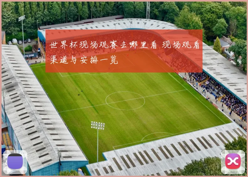 世界杯现场观赛去哪里看 现场观看渠道与安排一览