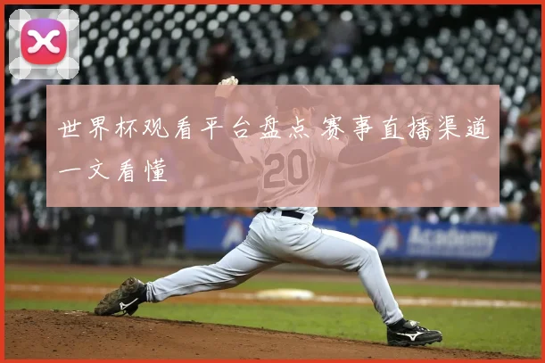 世界杯观看平台盘点 赛事直播渠道一文看懂