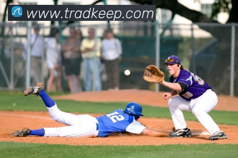 ky棋牌app官网下载平台生态图